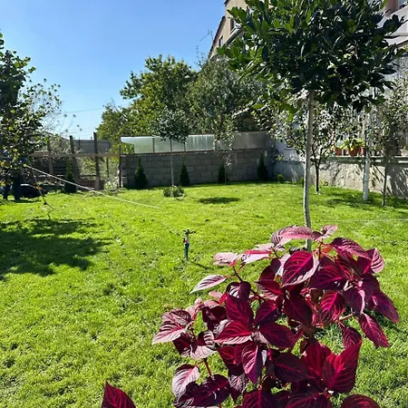 Villa Blissful